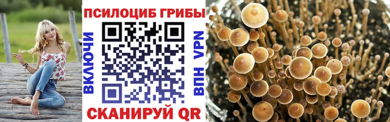 Галлюциногенные грибы прущие грибы  магазин продажи наркотиков  Заозёрск 